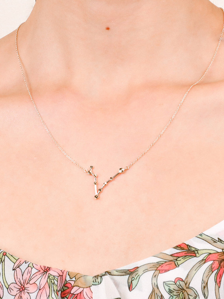 detail shot of Gold Pisces Constellation necklace on a female model's neck